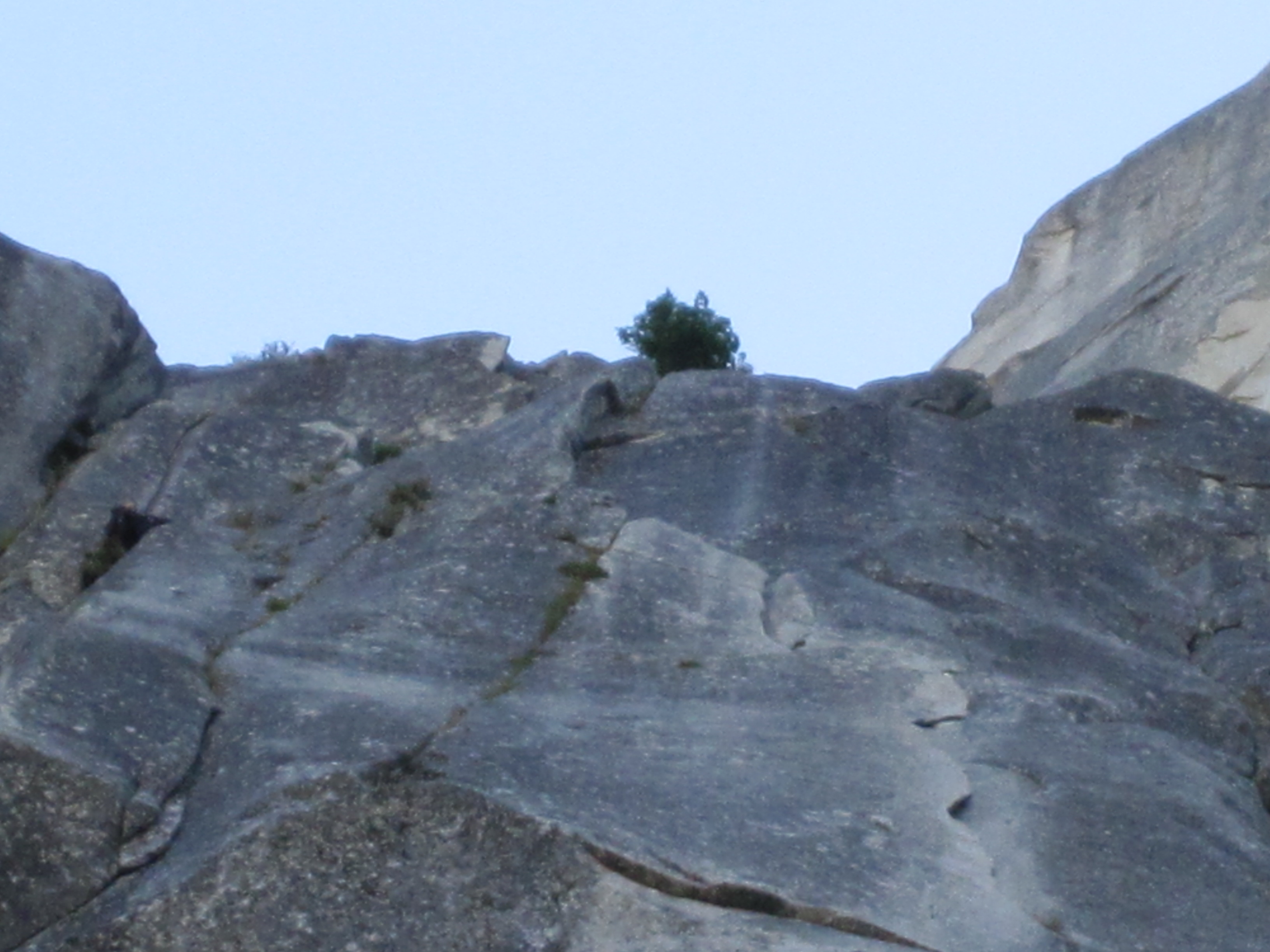 Yosemite Cho Y J 706.jpg