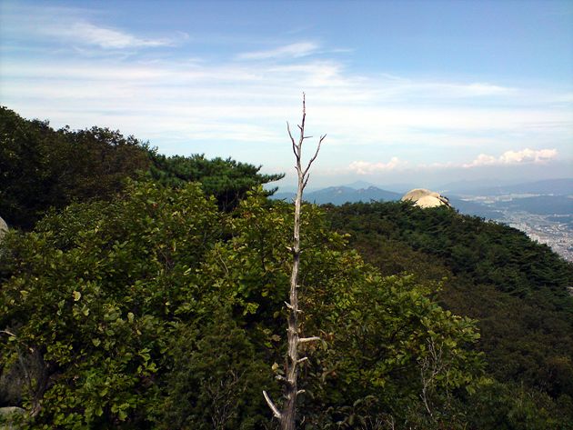 ����100926_008.jpg