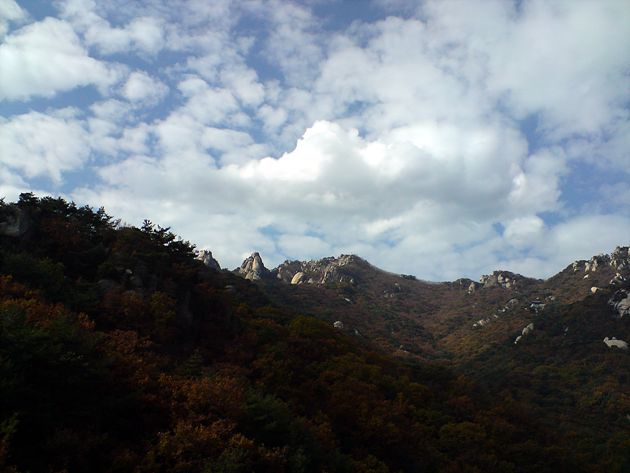 ����101031_002.jpg