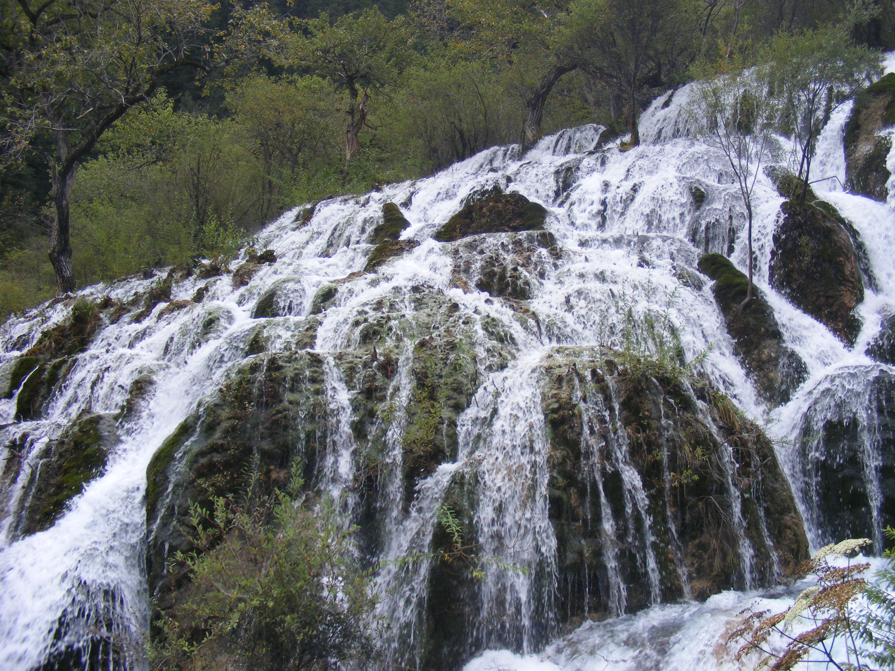 DSCF4584.JPG