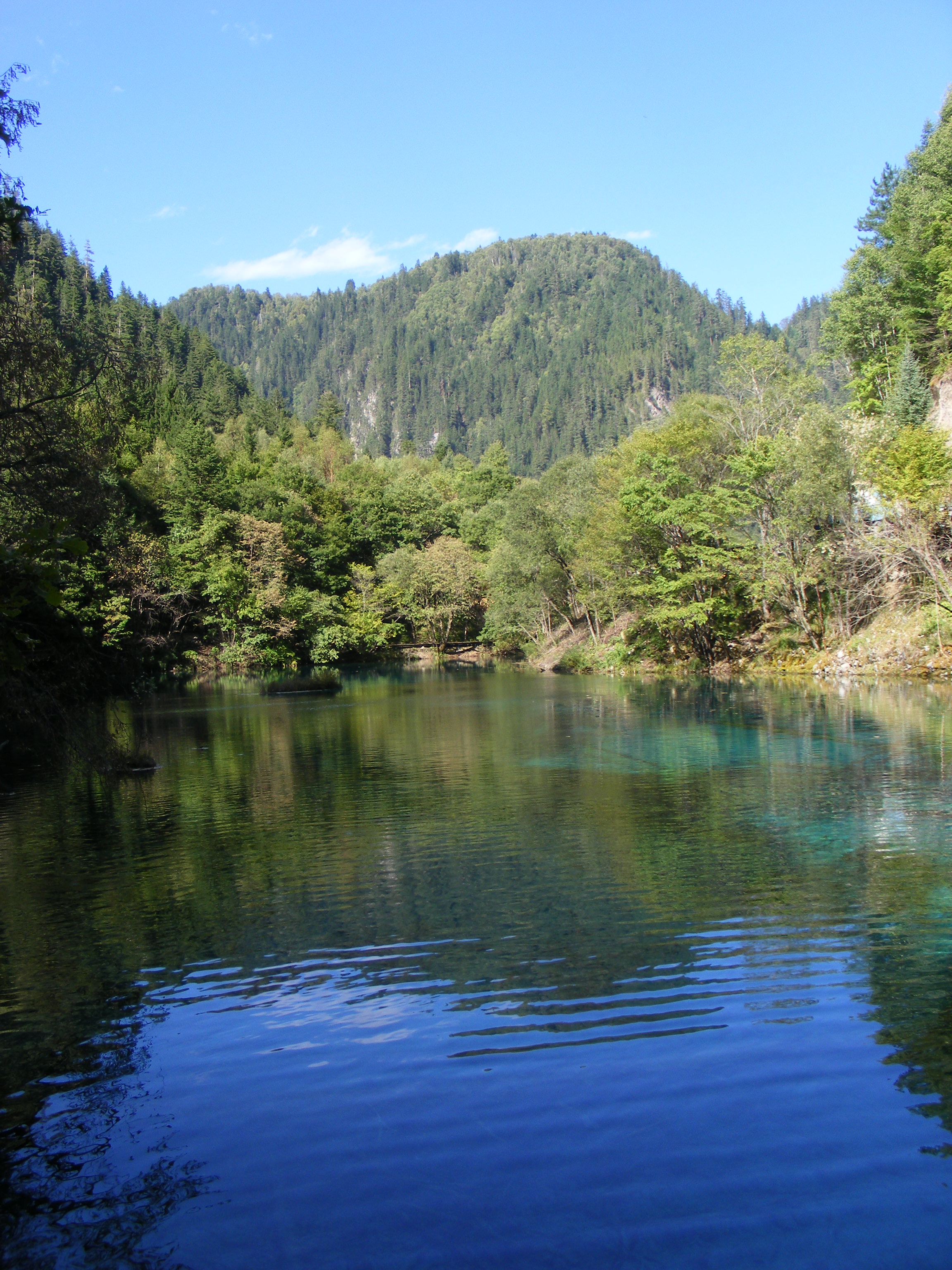 DSCF4662.JPG