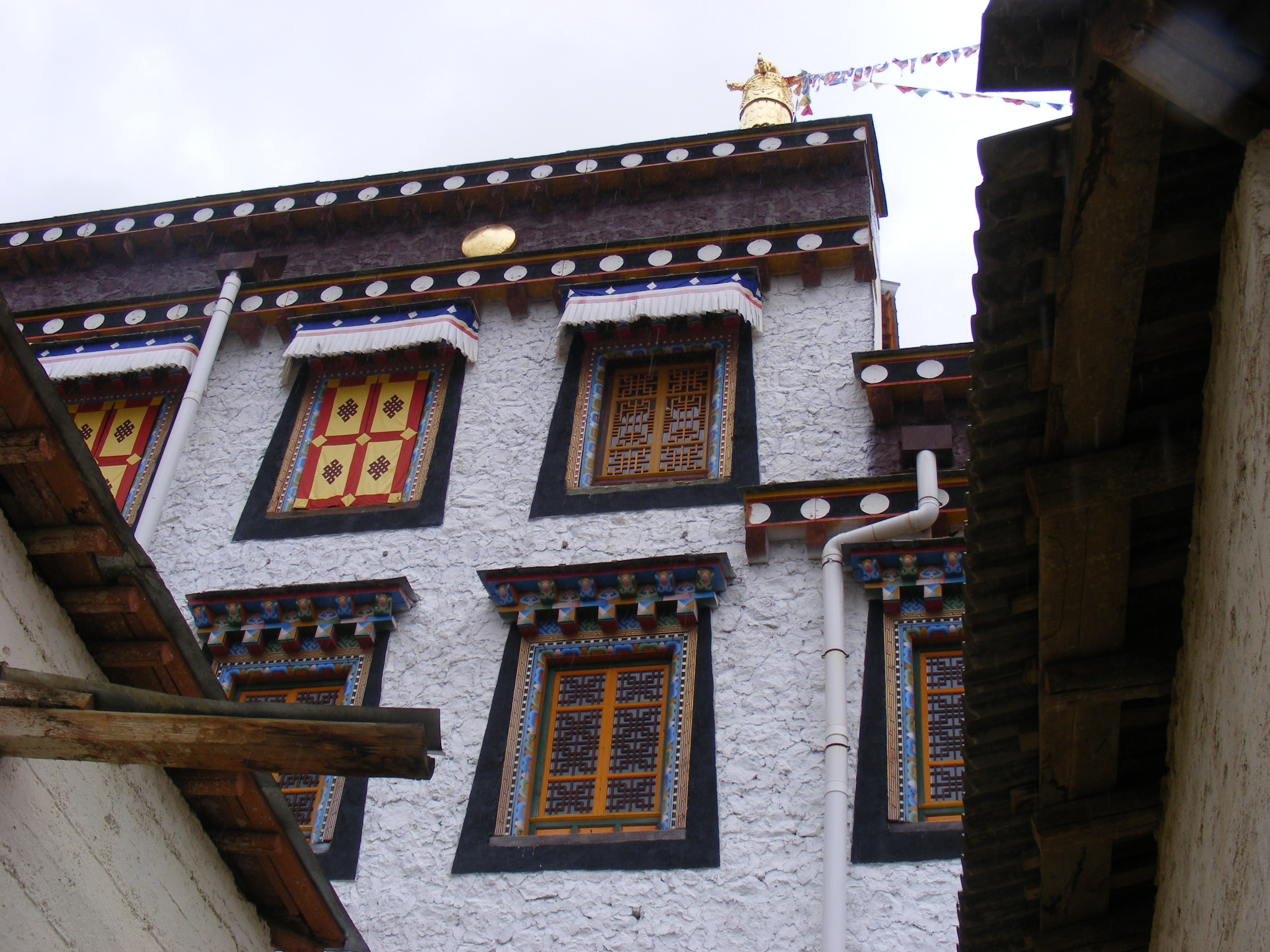 DSCF5005.JPG