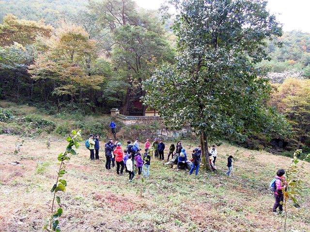 DSCN1109.jpg