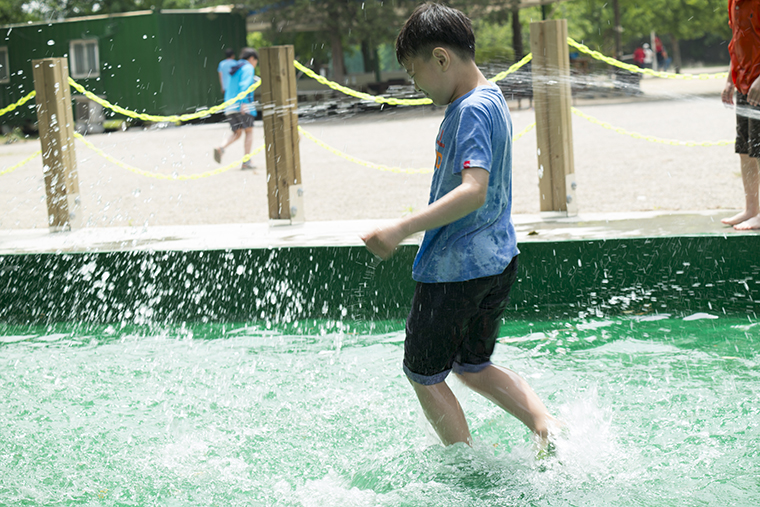 SAM_0623-1.jpg